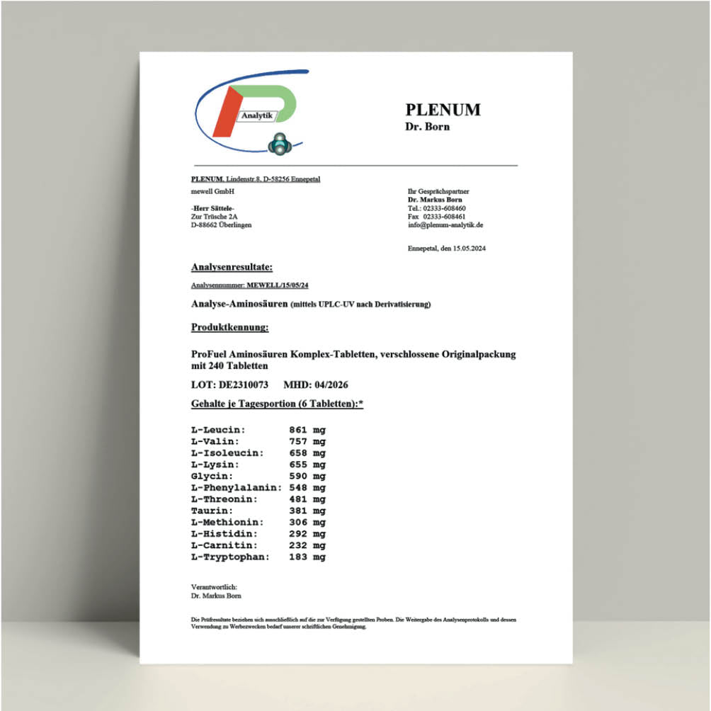 Aminosäuren Komplex 240 Tabl
