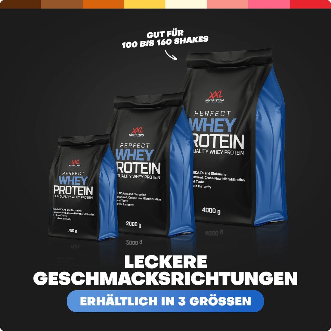 Perfect Whey Protein 4000g